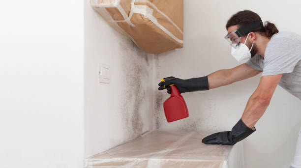 Professional Bathroom Mold Removal technician working in Jefferson, TX
