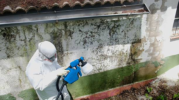 Top rated local Bathroom Mold Removal specialists in Jefferson, TX